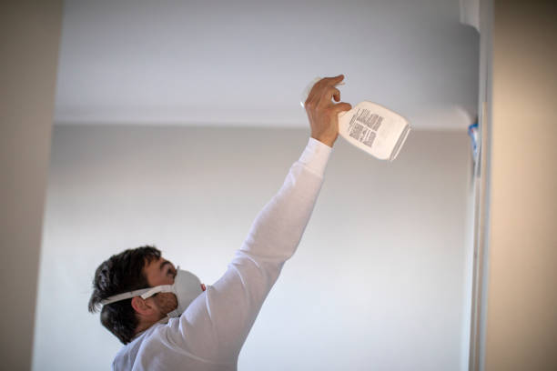 Best Basement Mold Remediation in La Paloma, TX